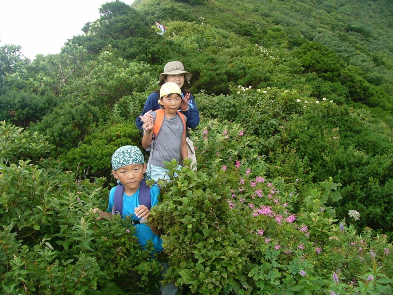 Shukubo Kansho-In Temple Sanrakuso Daisen  المظهر الخارجي الصورة