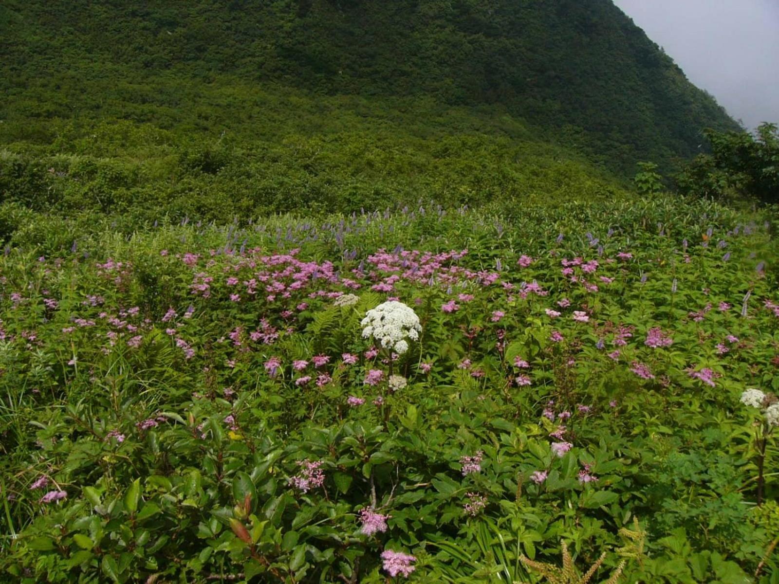 Shukubo Kansho-In Temple Sanrakuso Daisen  المظهر الخارجي الصورة